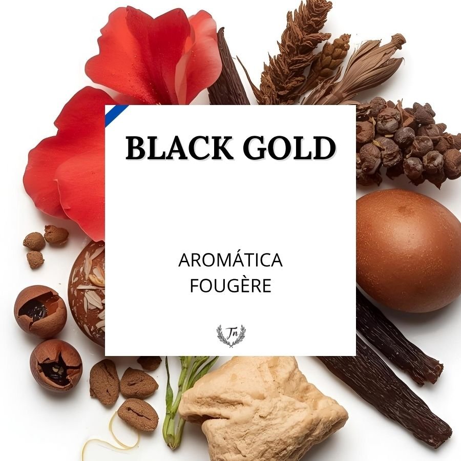 black gold elixir perfume masculino Colombia