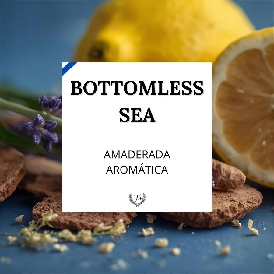 bottomless sea elixir perfume masculino Colombia