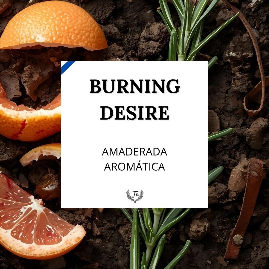 burning desire elixir perfume masculino Colombia