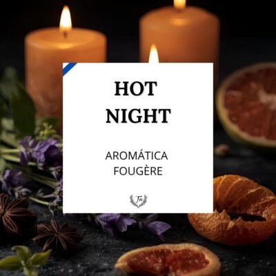 Hot Night Elixir | Aromática–Fougère | TAP NINU hot night elixir perfume masculino Colombia