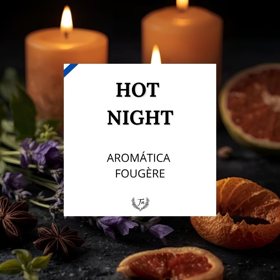 Hot Night Elixir | Aromática–Fougère | TAP NINU hot night elixir perfume masculino Colombia
