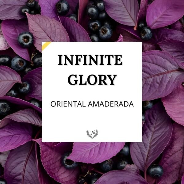 infinite glory elixir perfume unisex Colombia