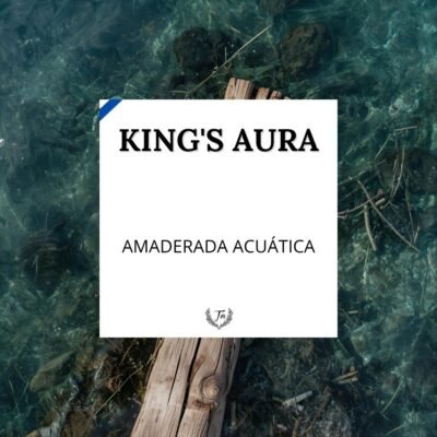 kings aura elixir perfume masculino Colombia