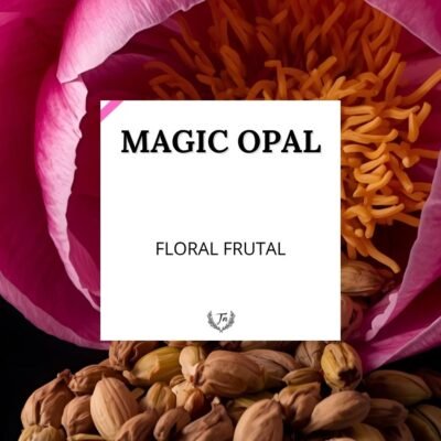 magic opal elixir perfume femenino Colombia