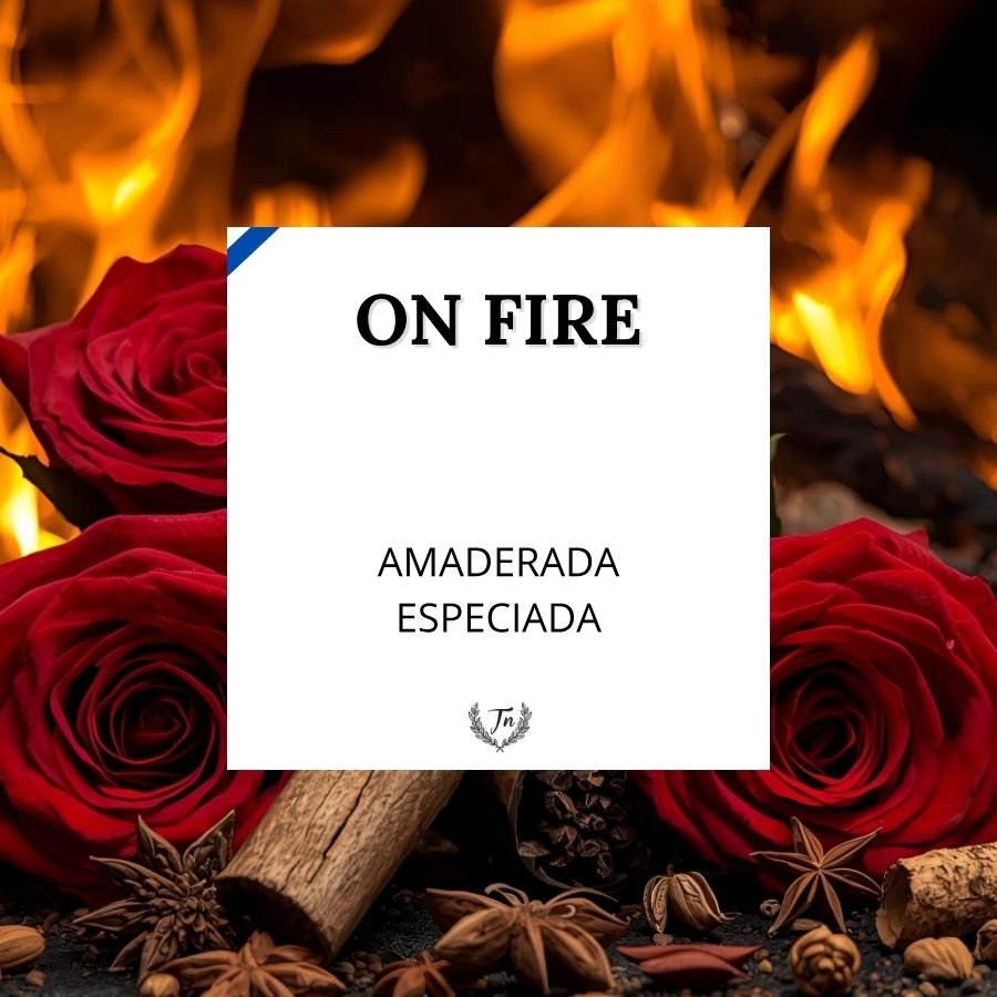 on fire elixir perfume masculino Colombia