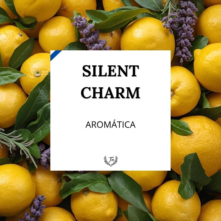 silent charm elixir perfume masculino Colombia