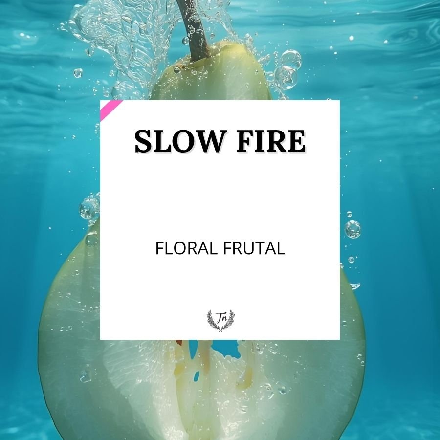 slow fire elixir perfume femenino Colombia