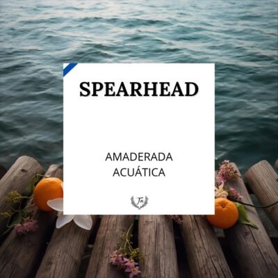 spearhead elixir perfume masculino Colombia