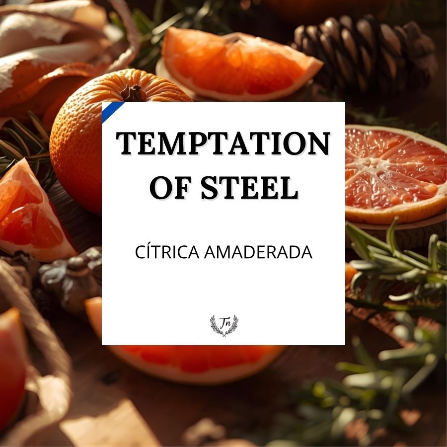 temptation of steel elixir perfume masculino Colombia