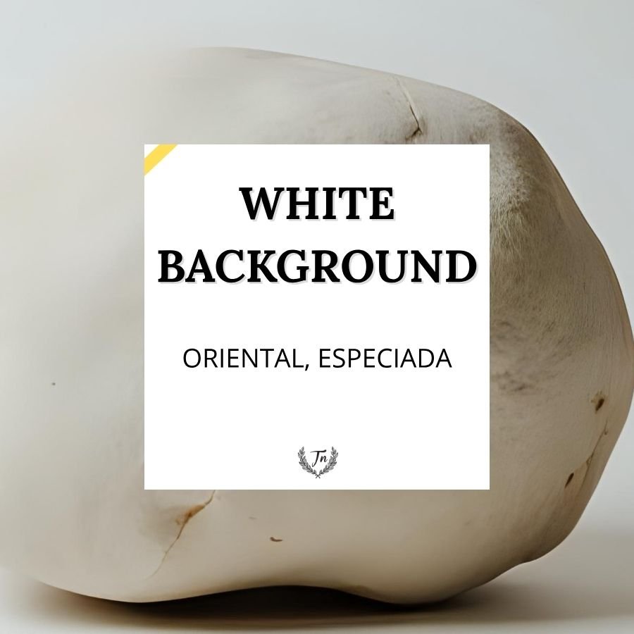 white background elixir perfume unisex Colombia