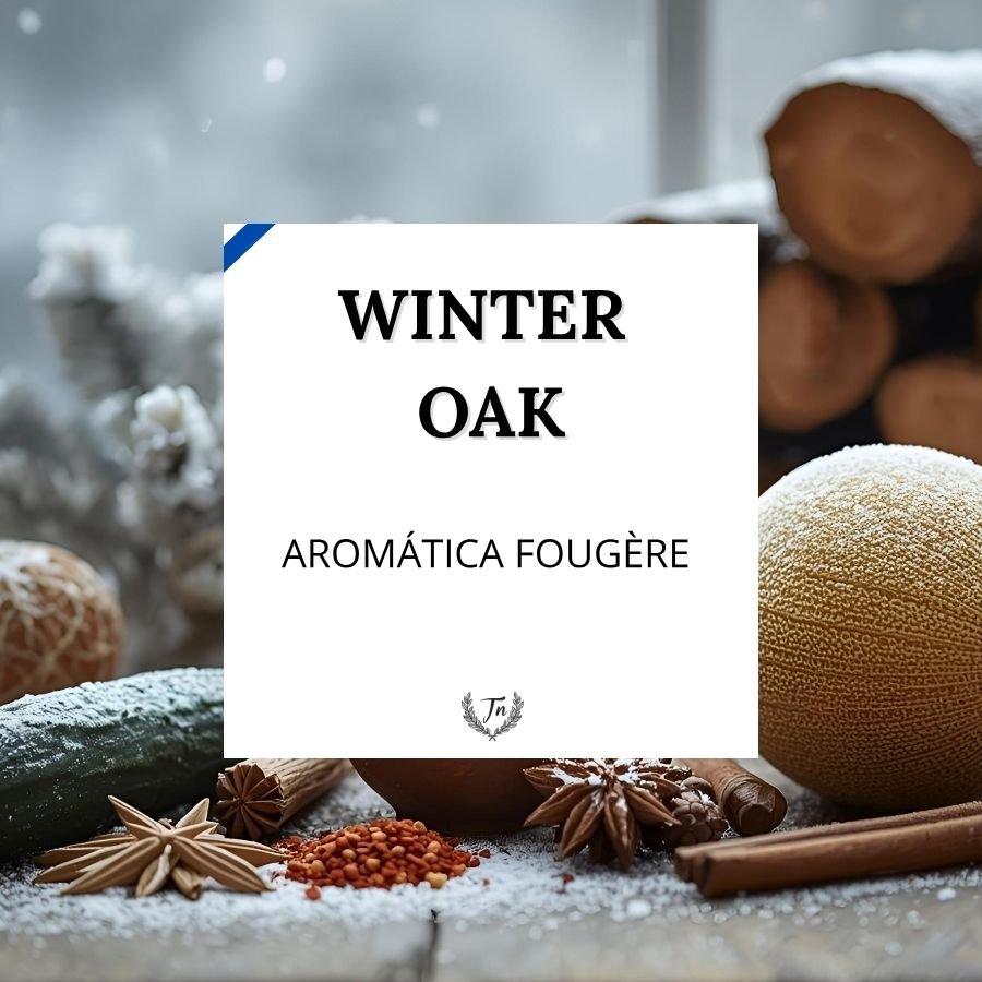 Winter Oak Elixir | Aromática–Fougère | TAP NINU winter oak elixir perfume masculino aromática fougère Colombia