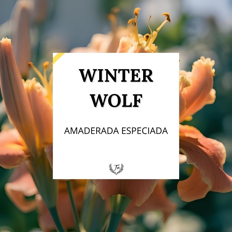winter wolf elixir perfume unisex amaderada especiada Colombia