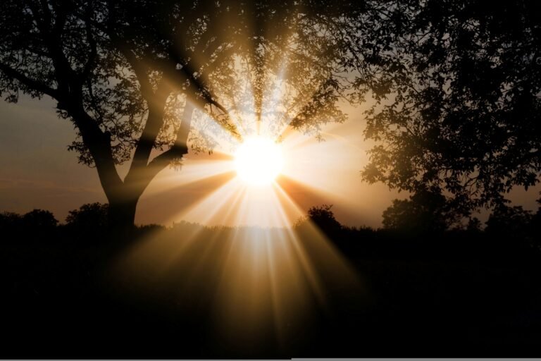 Macro fotografía editorial de piel humana sana y radiante, capturando la textura natural y la reflexión difusa de la luz solar.